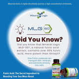 Power By Naturals Sea Moss Avancé minéraux essentiels pour l’équilibre nutritionnel.