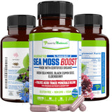 Power By Naturals Sea Moss Avancé santé digestive et confort intestinal.