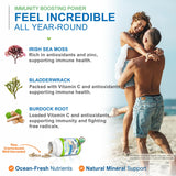 Algue irlandaise Sea Moss Plus en mise en avant d'une source naturelle de nutriments.