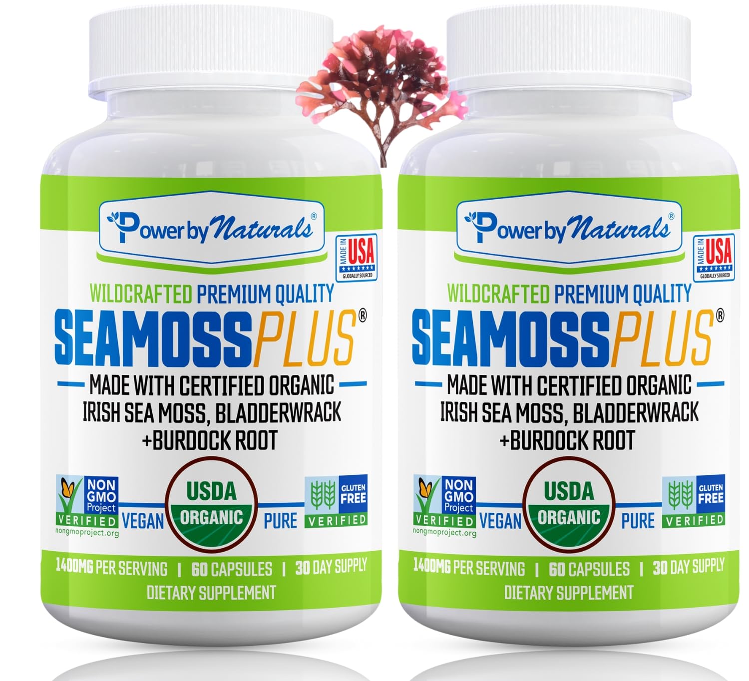 Power By Naturals Sea Moss Plus – bouteille de capsules faciles à prendre pour soutenir l'immunité.