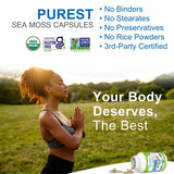 Capsules Sea Moss Plus pour une prise quotidienne rapide et pratique.