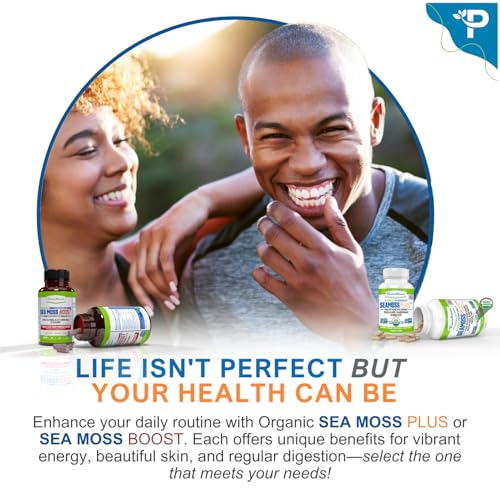 Suggestions d'utilisation Sea Moss Plus dans des smoothies et boissons.