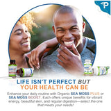 Suggestions d'utilisation Sea Moss Plus dans des smoothies et boissons.