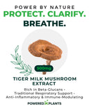 POWERED X PLANTS champignon lait de tigre – bêta-glucane 50%, soutien potentiel du système immunitaire.