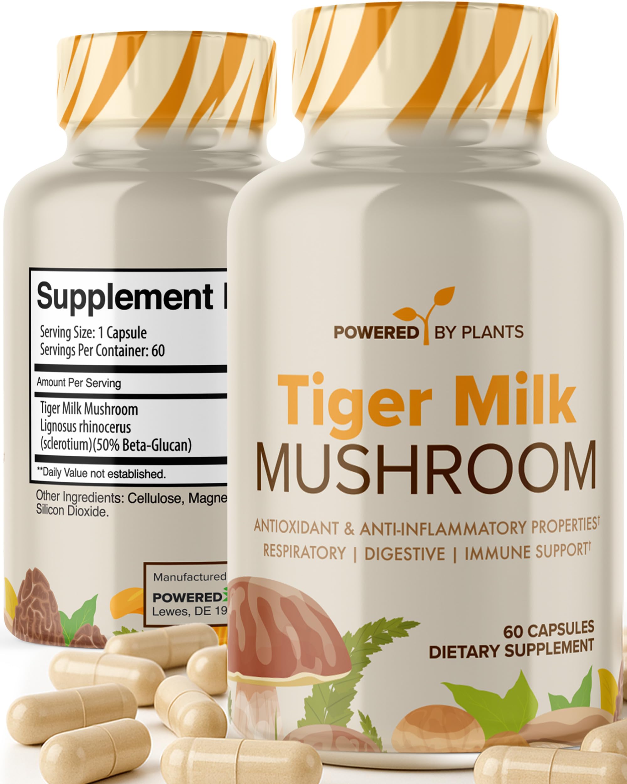 POWERED X PLANTS champignon lait de tigre – bouteille, soutien potentiel à l'énergie.