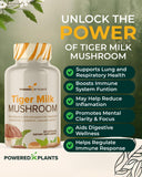 POWERED X PLANTS champignon lait de tigre – capsules, formulation puissante pour le bien-être quotidien.