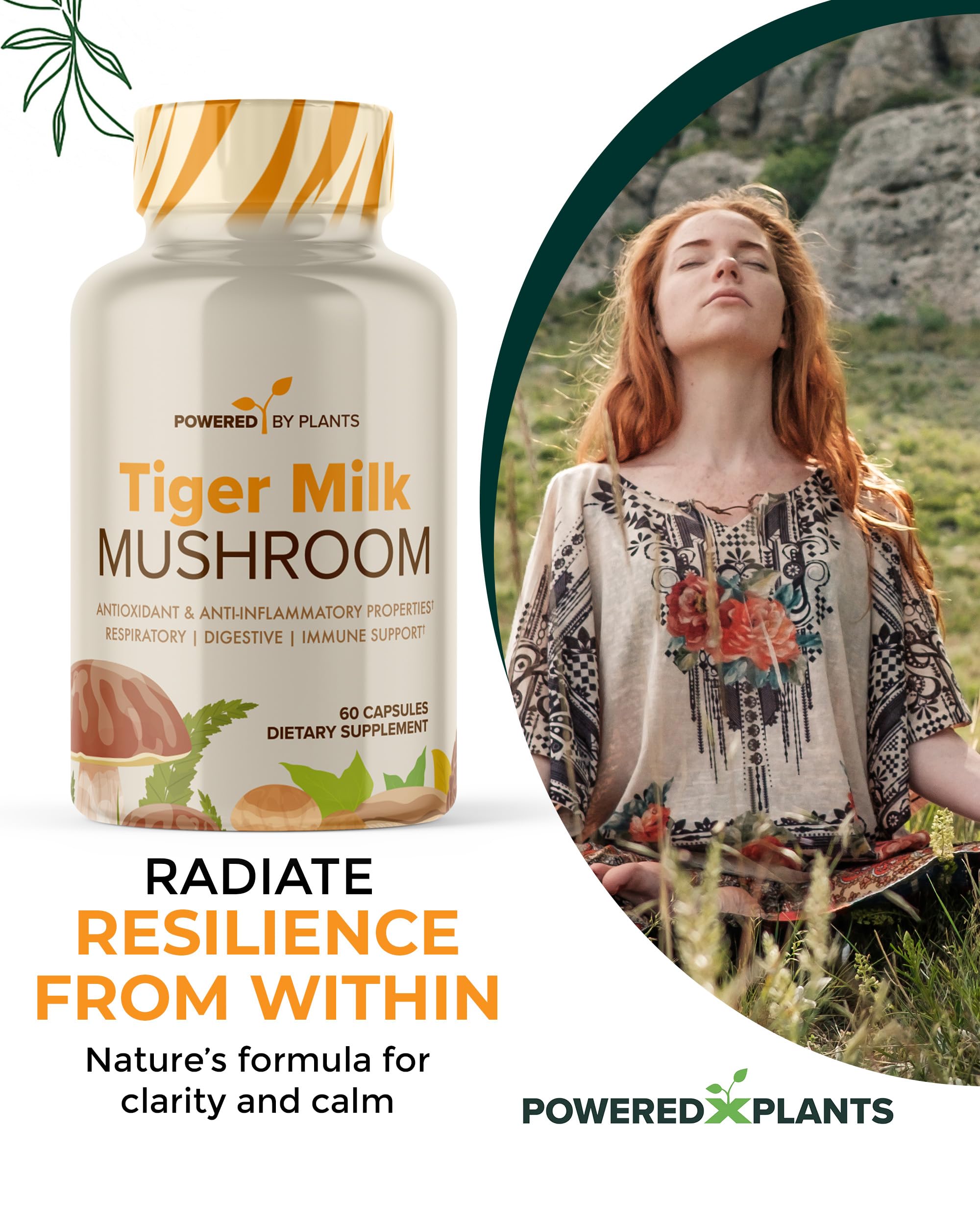 POWERED X PLANTS champignon lait de tigre – étiquette lisible et extrait standardisé pour précision.