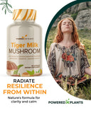POWERED X PLANTS champignon lait de tigre – étiquette lisible et extrait standardisé pour précision.