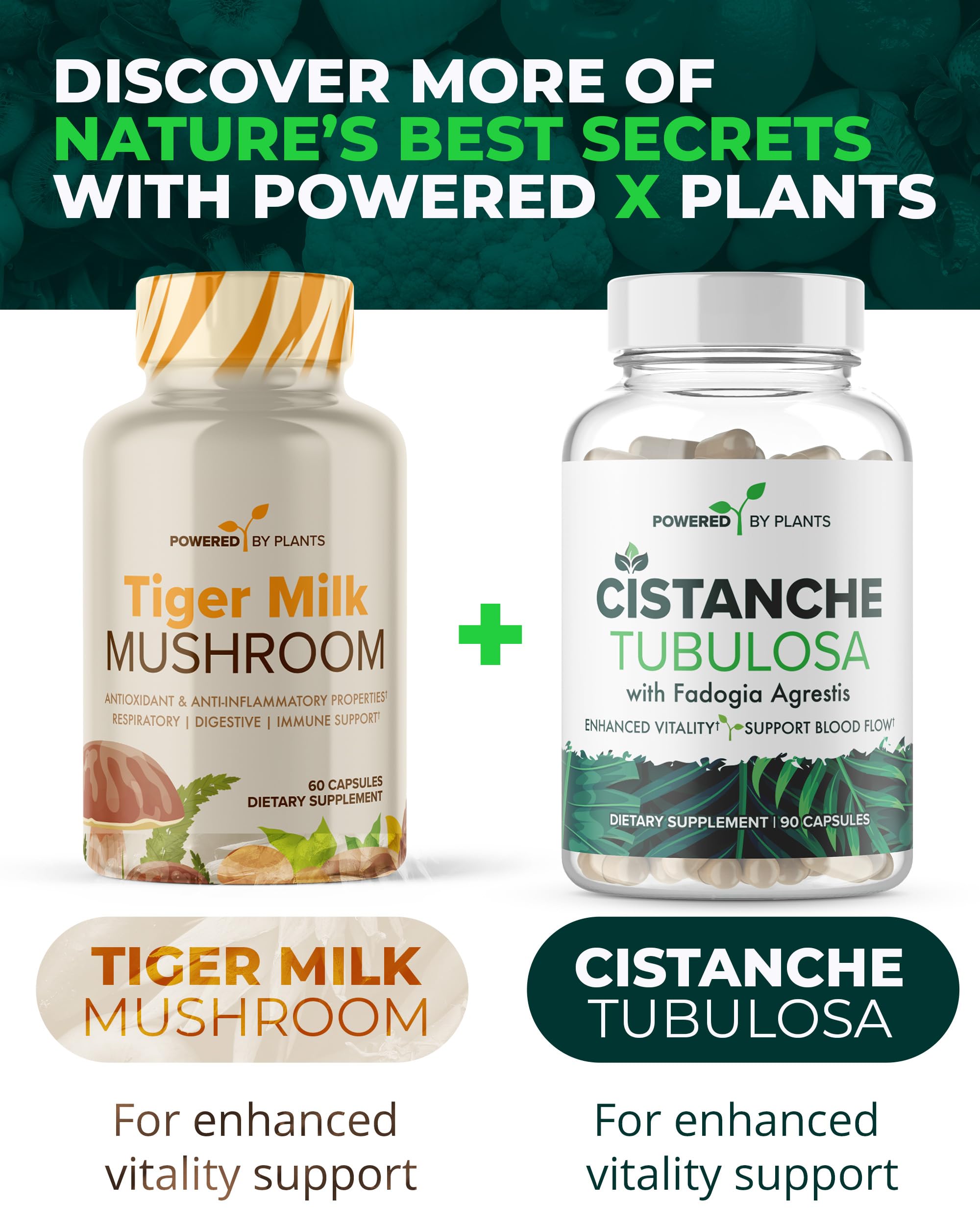 POWERED X PLANTS champignon lait de tigre – routine quotidienne pour un bien-être global.