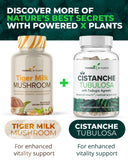 POWERED X PLANTS champignon lait de tigre – routine quotidienne pour un bien-être global.