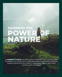 POWERED X PLANTS champignon lait de tigre – usage quotidien pratique et naturel.