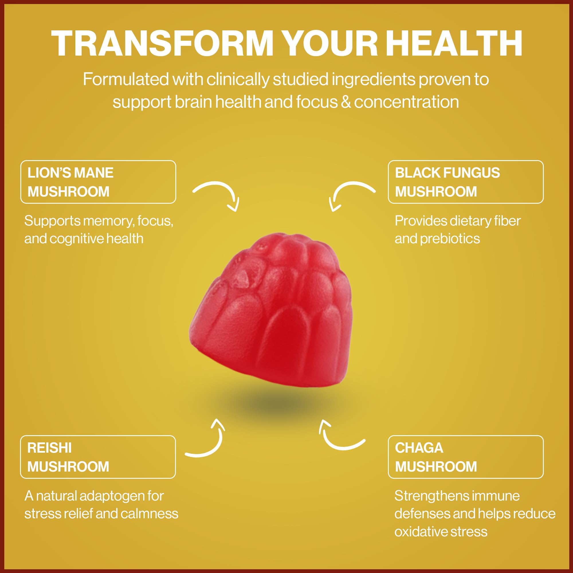 Gommes BrainRevive de Powerhouse Vitality, assortiment attrayant pour une prise pratique.