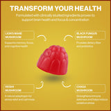 Gommes BrainRevive de Powerhouse Vitality, assortiment attrayant pour une prise pratique.
