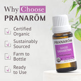 Pranarom Good Samaritan utilisation avec humidificateur purifie l espace.