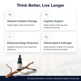 Premier Methylene Blue, emballage élégant, présentation premium et sûre.