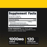 Primaforce Cissus Quadrangularis, bouteille de 120 capsules, format pratique pour l'entraînement quotidien.