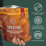 Récupération Primal Harvest poudre créatine, boost potentiel après séance.