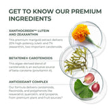 Primal Vision – capsules Eyebright et Ginkgo pour le soutien naturel des yeux.