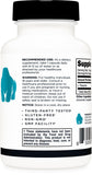 Gélules Primal L-Theanine en gros plan, texture lisse et dosage clair.