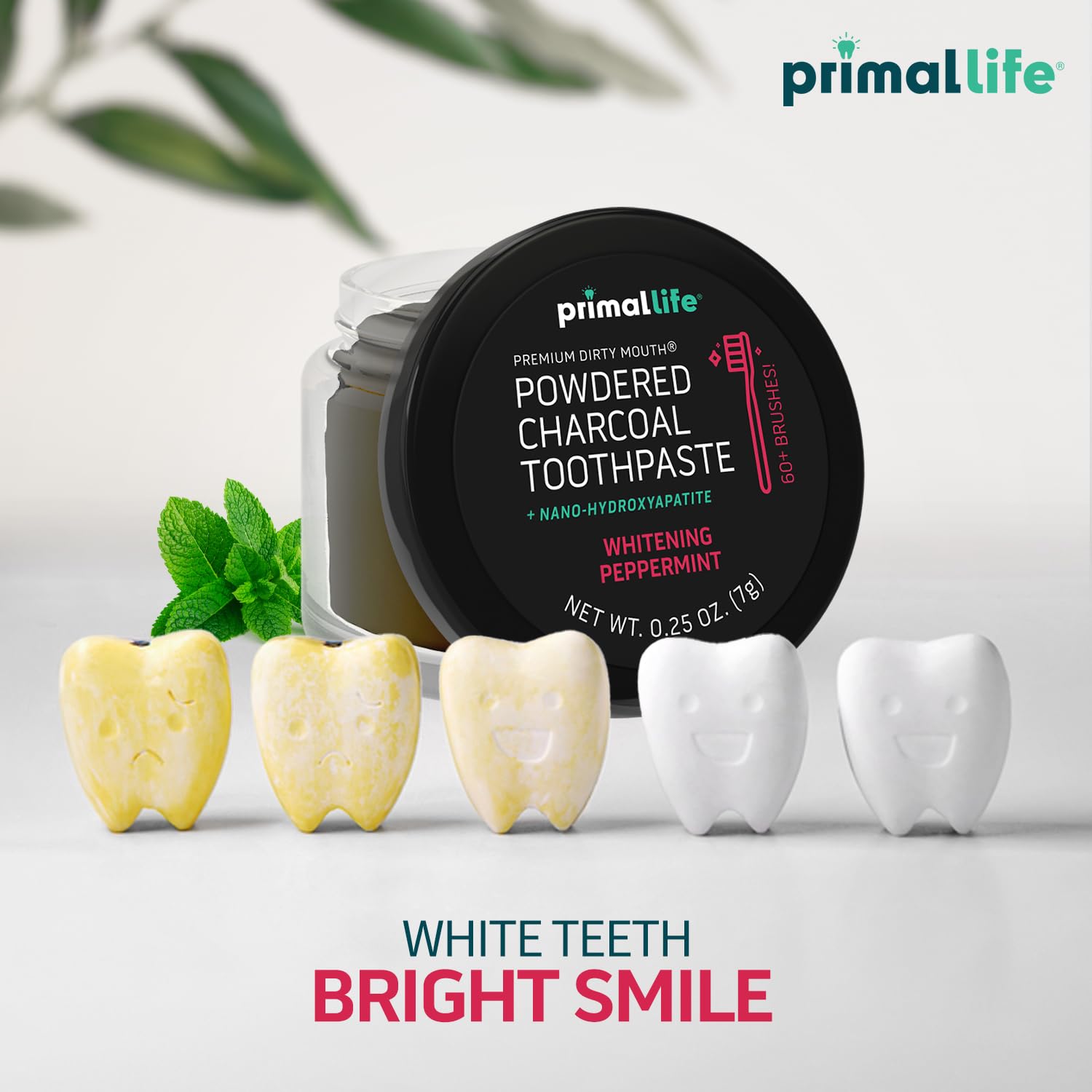Primal Life Organics poudre menthe noire offrant une fraîcheur durable