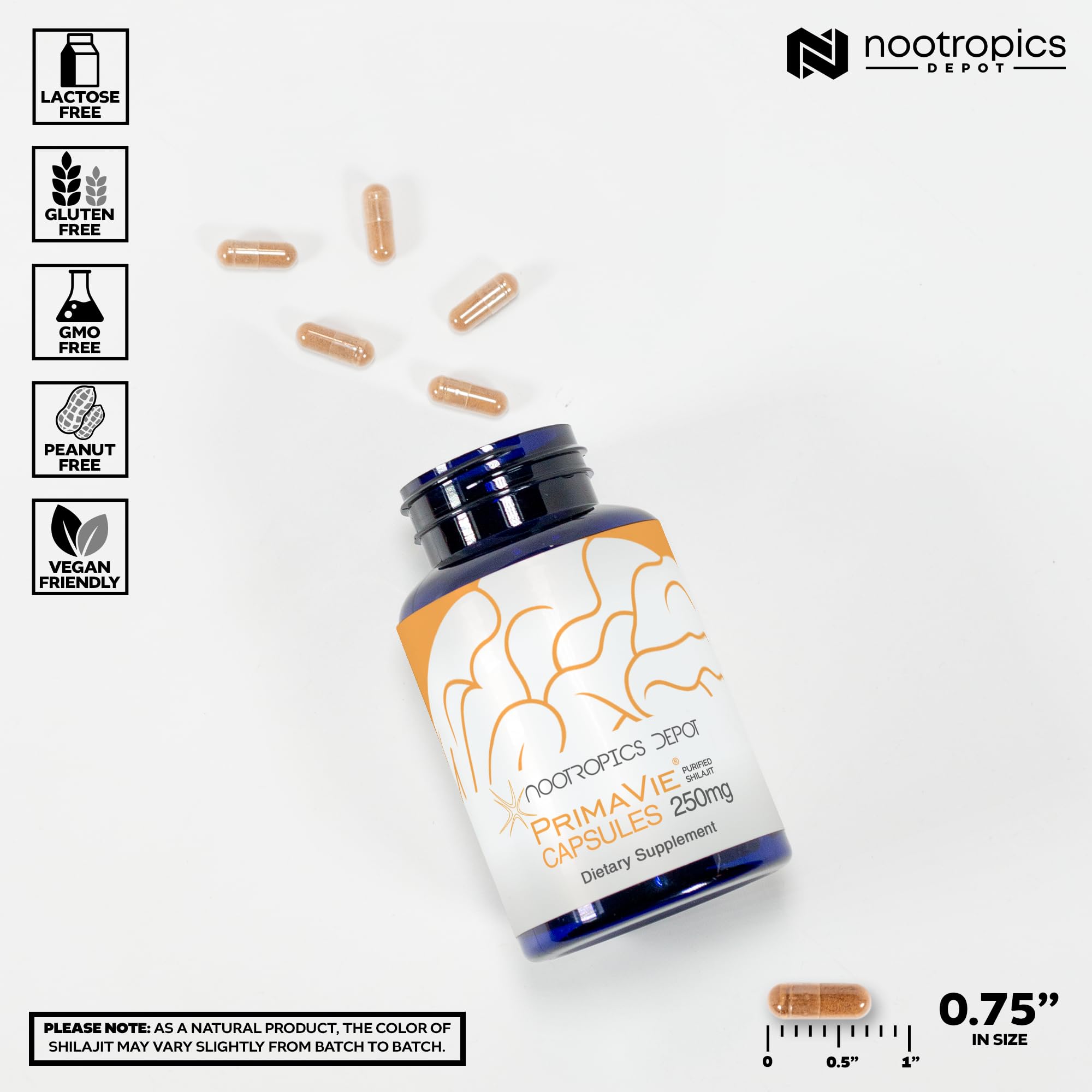Capsules Shilajit PrimaVie : formulation riche en DBP et minéraux pour l’énergie quotidienne.