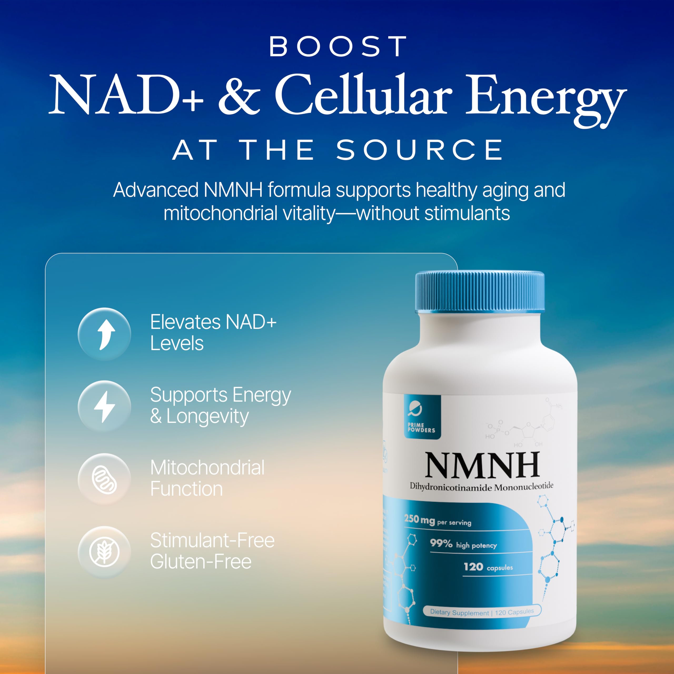 Prime Powders NMNH – Gelules en gros plan montrant le format et le soutien potentiel au NAD+.