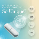 Prime Powders Spermidine bouteille: emballage solide et étiquetage lisible.
