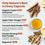 PrimeMD Mélange curcuma et ginseng: énergie et bien-être potentiels