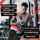 Primeval Labs Créatine – ambiance salle de sport, format pratique et durable.