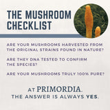 Extrait Cordyceps Sinensis Primordia : concentration d actifs pour le bien être.