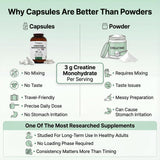 PRISTINE'S créatine monohydrate capsules: soutien cognitif et clarté mentale potentielle