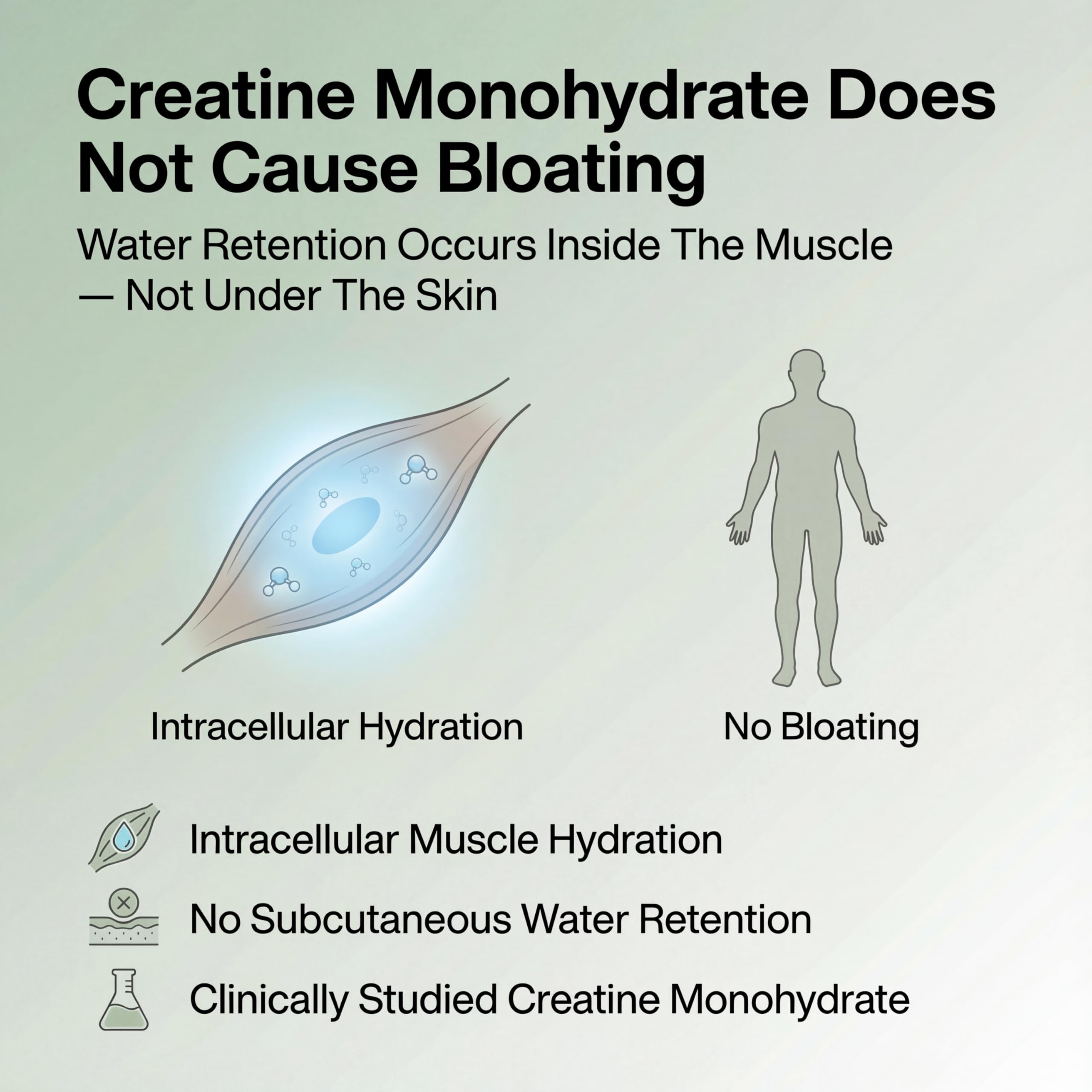 PRISTINE'S créatine monohydrate capsules: amélioration potentielle de la performance et de l'endurance
