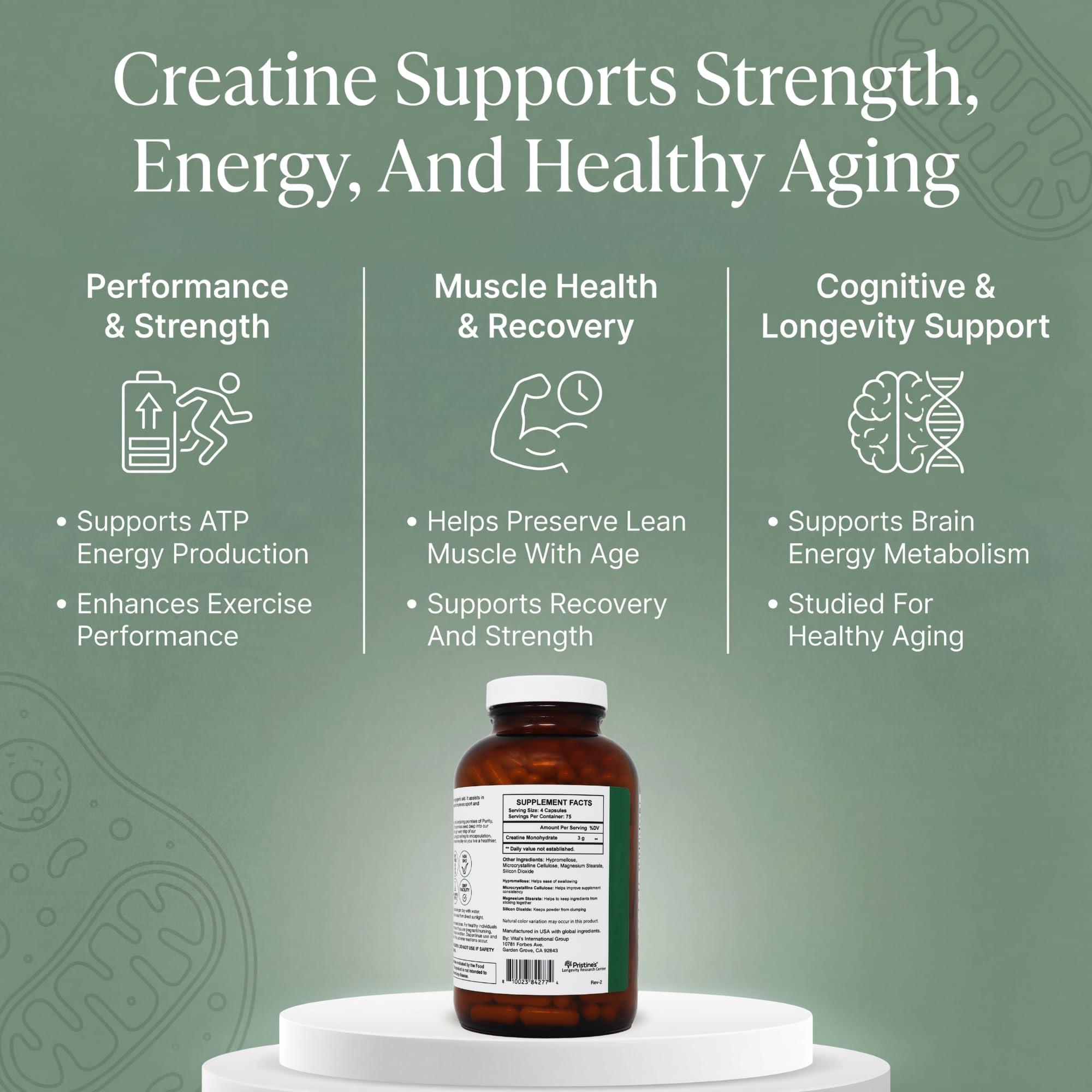 PRISTINE'S créatine monohydrate capsules: récupération après entraînement plus rapide