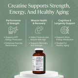 PRISTINE'S créatine monohydrate capsules: récupération après entraînement plus rapide