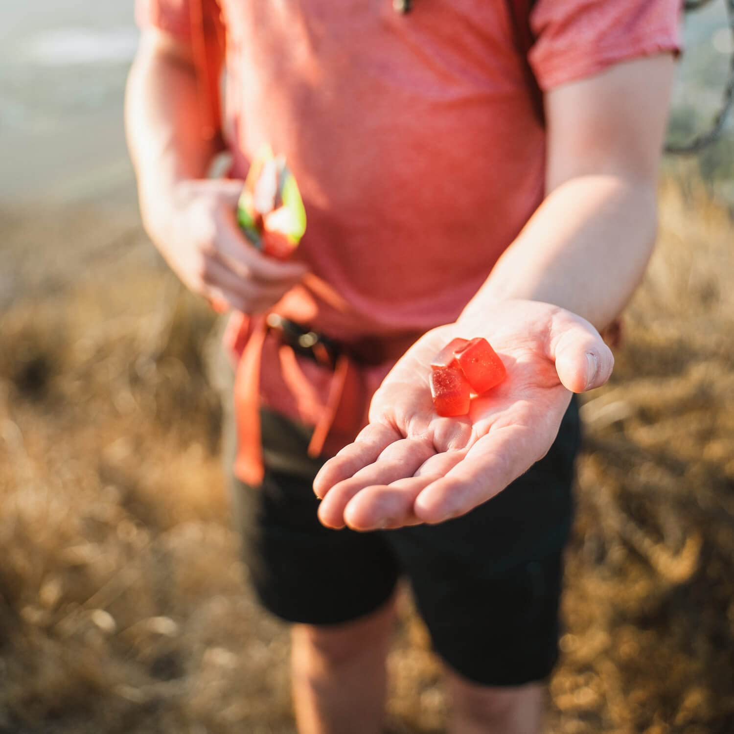 Gommes PROBAR Bolt superfruits, soutien naturel grâce au mélange.