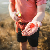 Gommes PROBAR Bolt superfruits, soutien naturel grâce au mélange.