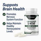 Probase Nutrition Humeur et Cognition – Visuel suggérant un soutien potentiel du bien-être mental.