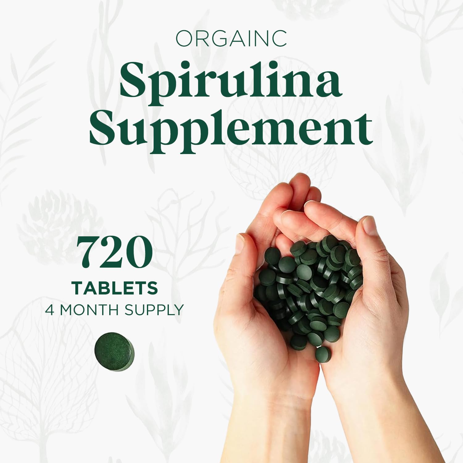 Probase Nutrition Spiruline – gros plan sur comprimés sans additifs.