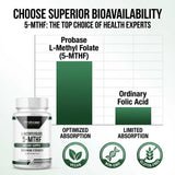 Probase Nutrition Végan sans OGM – Ingrédients de qualité et sans allergènes typiques.