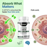 Probase Nutrition Vitamine B9 biodisponible – Soutien potentiel du métabolisme et de l'énergie.