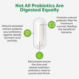 Probulin Colon Support – ingrédients: 12 souches probiotiques et prébiotiques pour nourrir le microbiote.