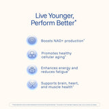 ProHealth NMN Pro 1000 – etiquette lisible indiquant le dosage quotidien