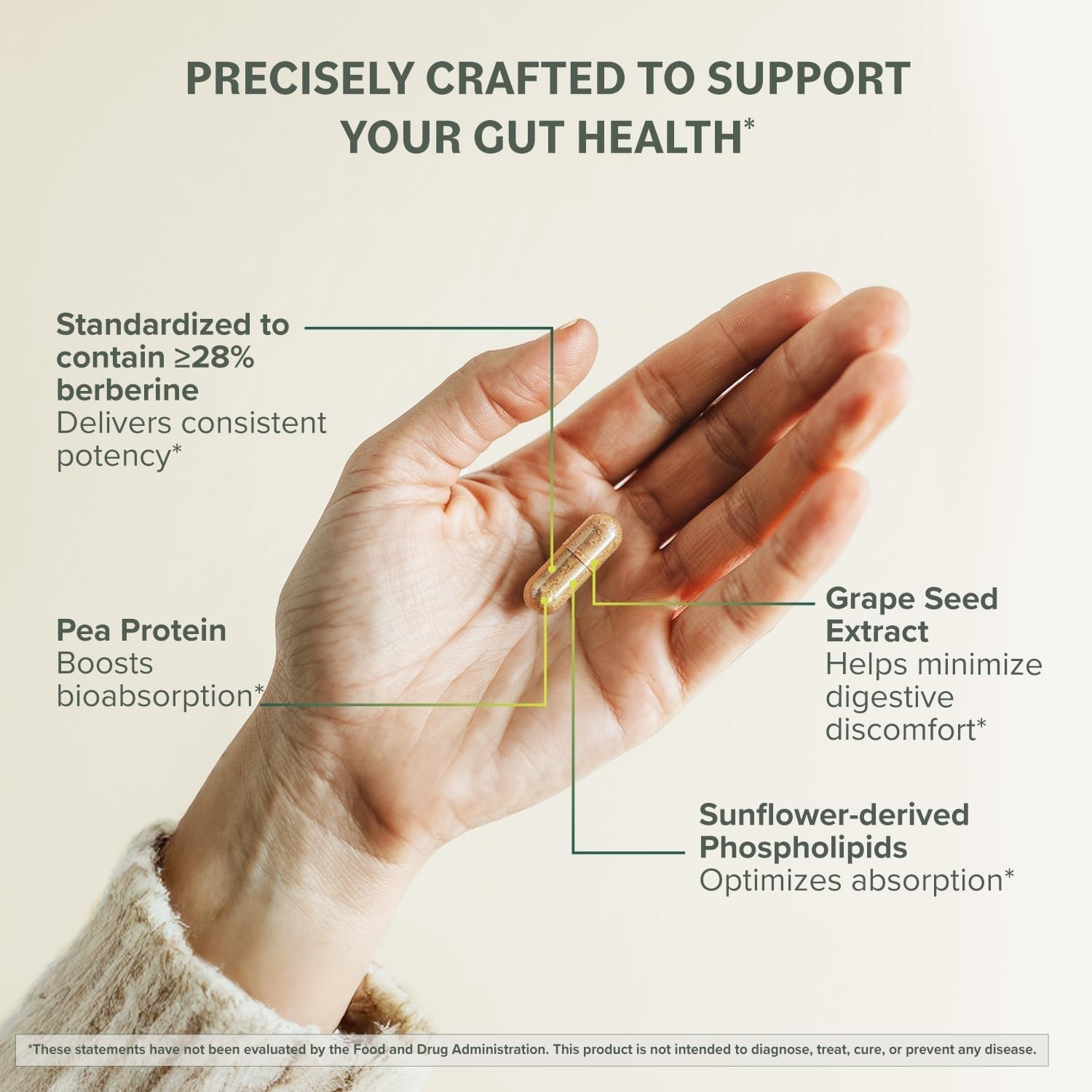 Prominent Nutrition Berberine Phytosome – image cœur et antioxydants potentiels