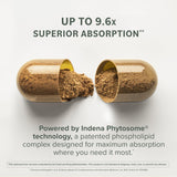 Prominent Nutrition Berberine Phytosome – soutien potentiel à la digestion et au microbiote