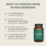 Prominent Nutrition Berberine Phytosome – utilisation quotidienne simple et pratique