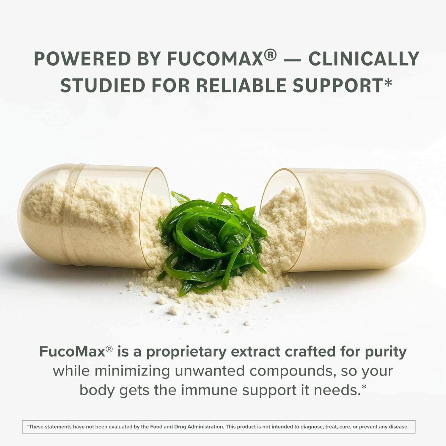 Prominent Nutrition Fucoidan Antioxydants-peau : peut aider au renouvellement cutané naturel.
