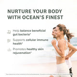 Prominent Nutrition Fucoidan Extrait-algue-brune : extrait premium pour énergie naturelle.