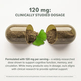 Emballage Prominent Nutrition Ginkgo Biloba élégant et informatif pour la présentation en magasin.