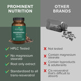 Prominent Nutrition Resveratrol – emballage sans additifs, formulation claire.