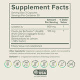 Capsules Prominent Nutrition Urolithin A + Fisetin favorisant récupération musculaire naturelle.